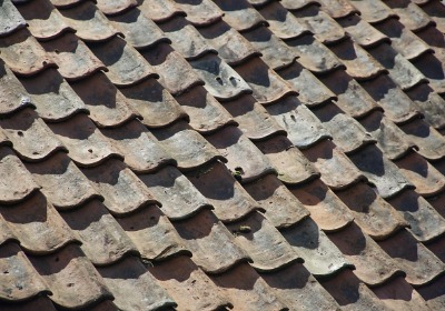 上海美妆圈新宠：这种礼盒材质让复购率飙升