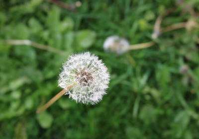 从原料到回收：我们如何为一款礼盒实现全链路碳中和