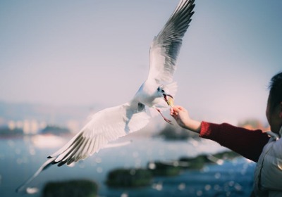 设计稿返工三次？一份清晰的需求说明能省下多少沟通成本