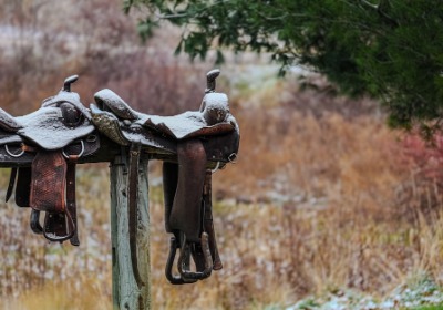 预算有限？这几款高性价比年货礼盒设计正流行