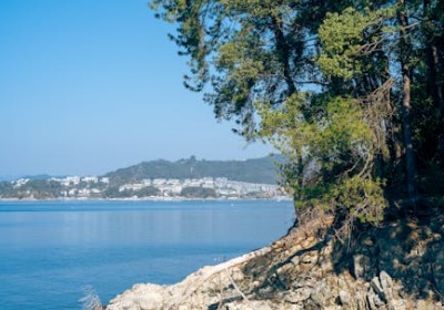 防伪成本降了，客户投诉少了：一物一码的真实账本