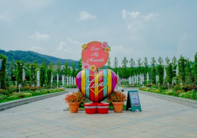 别让劣质道具毁了你的打卡点，选材避雷清单