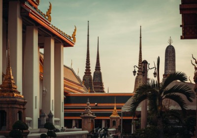 为什么硅谷公司总爱在入职礼包里放一包种子？