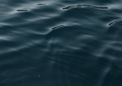 微波炉加热不炸裂，我们为预制菜研发了专用碗 | 广州白云包装厂深度解析