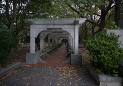 跨境卖家注意：ISTA新规下，你的电子产品包装过关吗？