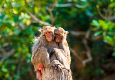 柔性生产正流行，你的包装跟上了吗？