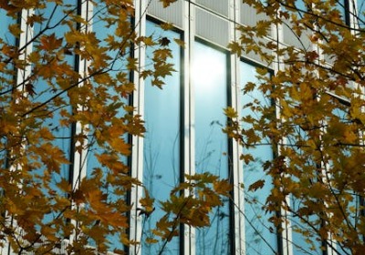 从设计图到开箱，我的茶叶罐定制全记录 | 青岛包装定制经验分享