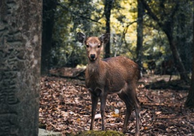 光膜、哑膜、触感膜，你的产品该穿哪件‘外衣’？ | 2026年包装覆膜终极指南
