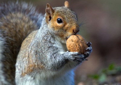 别家按千起订，我们为何坚持从1个盒子开始做