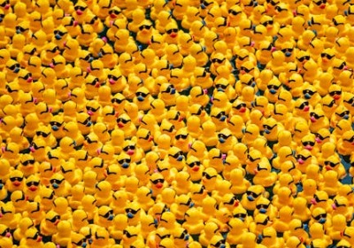 包装标识印错一个字，上海这家食品厂被罚了20万