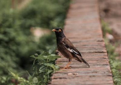 环保材质选错，你的礼品可能还没送出就输了