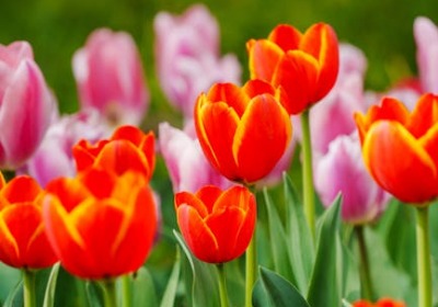 花店老板：用了这款礼盒后，复购率悄悄涨了