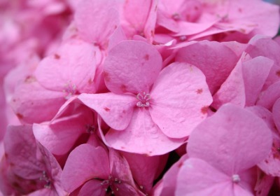 上海茶商选罐指南：陶瓷、马口铁、纸艺的克重与成本解析