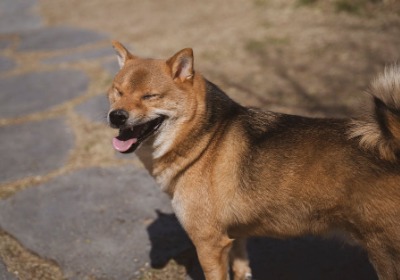 快闪店包装：让顾客主动拍照的3个材质秘密