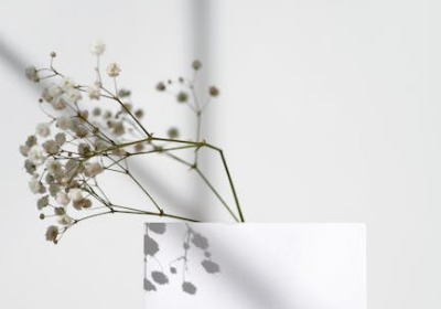 纸箱抗压测试：你的包装成本可能浪费在这里