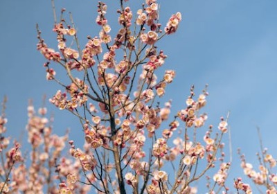 苏州礼盒定制成本模型：材质、工艺与起订量的量化分析