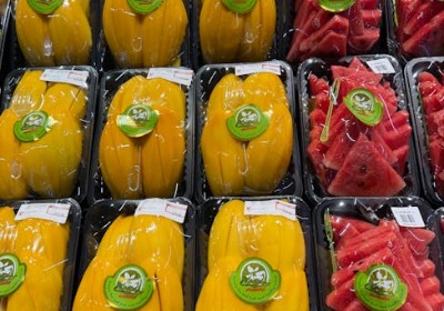 水果包装防震结构力学分析与材料选型标准