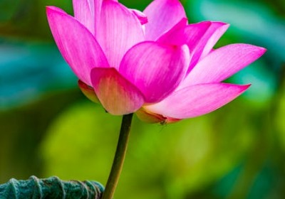 包装材质触感与消费者品牌忠诚度关联性分析 | 盒艺家专业解读