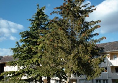 你的产品还在用翻盖？这几种开合方式让复购率悄悄翻倍