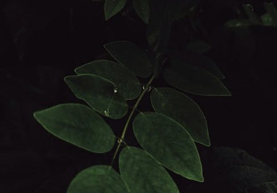 告别传统制版：数码打印塑料包装在小批量定制中的色彩还原与结构算力