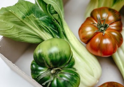 蔬菜包装盒：2026年行业趋势、选型指南与商业启示