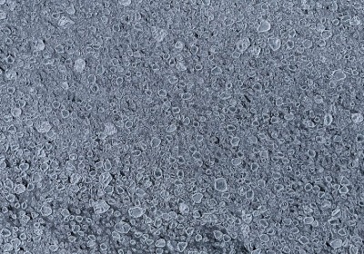 微孔结构对私域包装开箱体验的声学与触觉影响研究 | 2026年包装工程深度解析