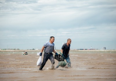 新丝路贸易背景下中国品牌包装的出海趋势