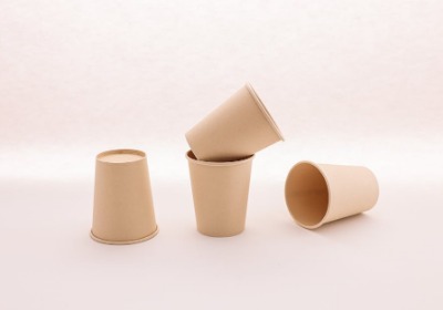 聚乳酸(PLA)淋膜纸杯的生物降解性与热封强度平衡研究