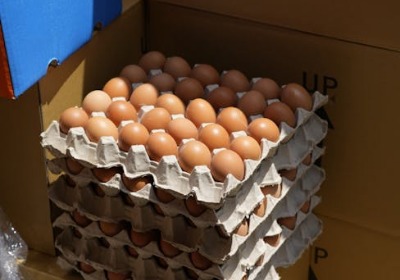 鸡蛋包装盒