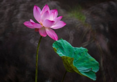 堆码载荷计算模型及其在运输包装设计中的应用