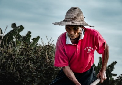 黔南农产品通过定制包装实现品牌化转型的观察