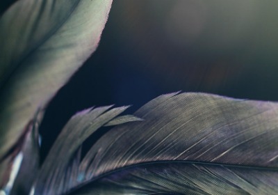 新消费品牌如何通过快速包装迭代抢占市场