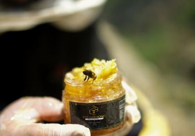 从农场到餐桌：小批量蜂蜜礼盒如何集成智能瓶盖与溯源二维码，讲述品牌故事