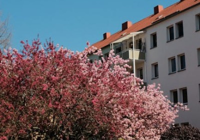 樱桃包装盒：2026年行业趋势、技术标准与商业破局指南