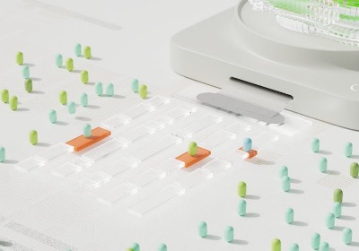 AI预测算法应用：基于往年数据，智能推荐端午礼盒的小批量生产数量与物流方案。