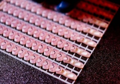 微克级定量印刷对小型订单色彩一致性的影响研究