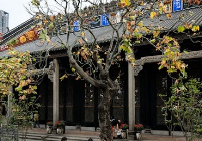 广州茶包装新趋势：老字号如何用设计抓住年轻消费者？