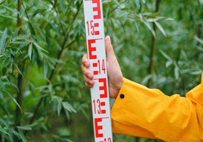 提升产品附加值：通过小批量定制推动土特产品牌化进程