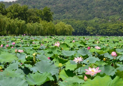 杭州美妆新锐品牌，如何靠包装设计让客单价翻倍？