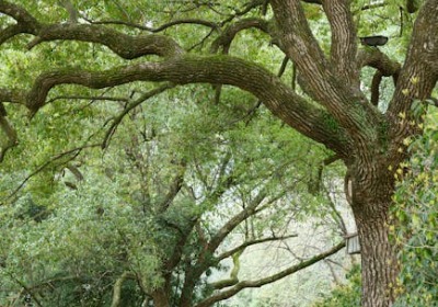 杭州花艺供应链升级：为何高端伴手礼都在用这种定制包装？