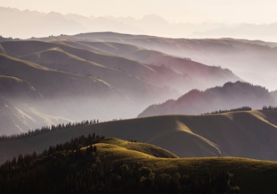 披萨包装盒：2026年行业趋势、技术标准与商业决策指南