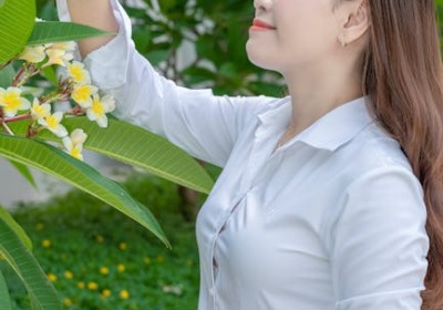 烘焙行业包装趋势：月饼空盒的轻量化定制