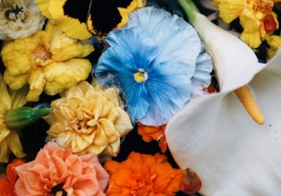 季节性花卉礼品包装的色彩与图案设计逻辑