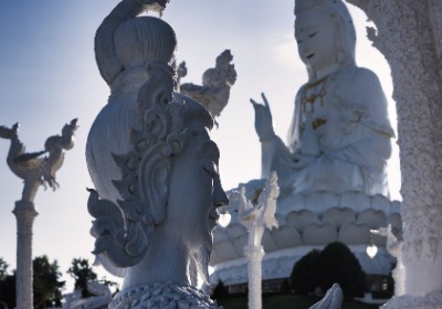 PLA材料在包装中的降解速率与力学性能衰减规律研究